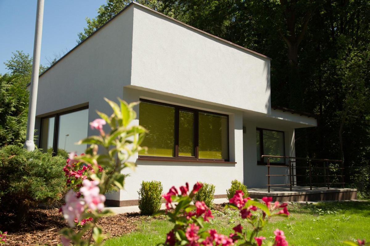 Camping Oaza Blonie Kornik Domki Standard Plus - 3 Pokoje Exterior foto