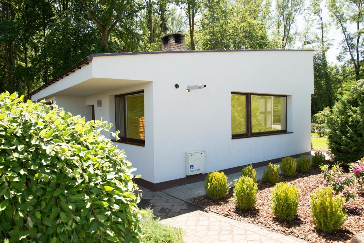 Camping Oaza Blonie Kornik Domki Standard Plus - 3 Pokoje Exterior foto