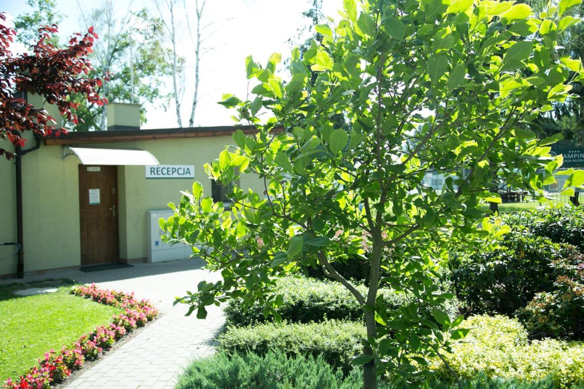Camping Oaza Blonie Kornik Domki Standard Plus - 3 Pokoje Exterior foto